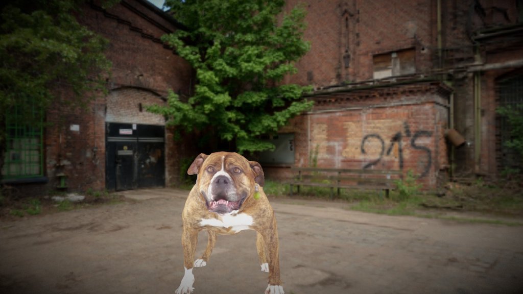 Beautiful 5 year old, Old english bulldog, Brindle coat - Sadie - Download Free 3D model by QuickPic3d (@argus.3d.studios) 3d model