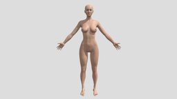 Female Basemesh humanoid, sculpted, basemesh, women, sculpting, gamedev, woman, 3dcharacter, wrap, pbr, gameasset, female, zbrush, human, textured, c4d, gameready, noai, basrmesh
