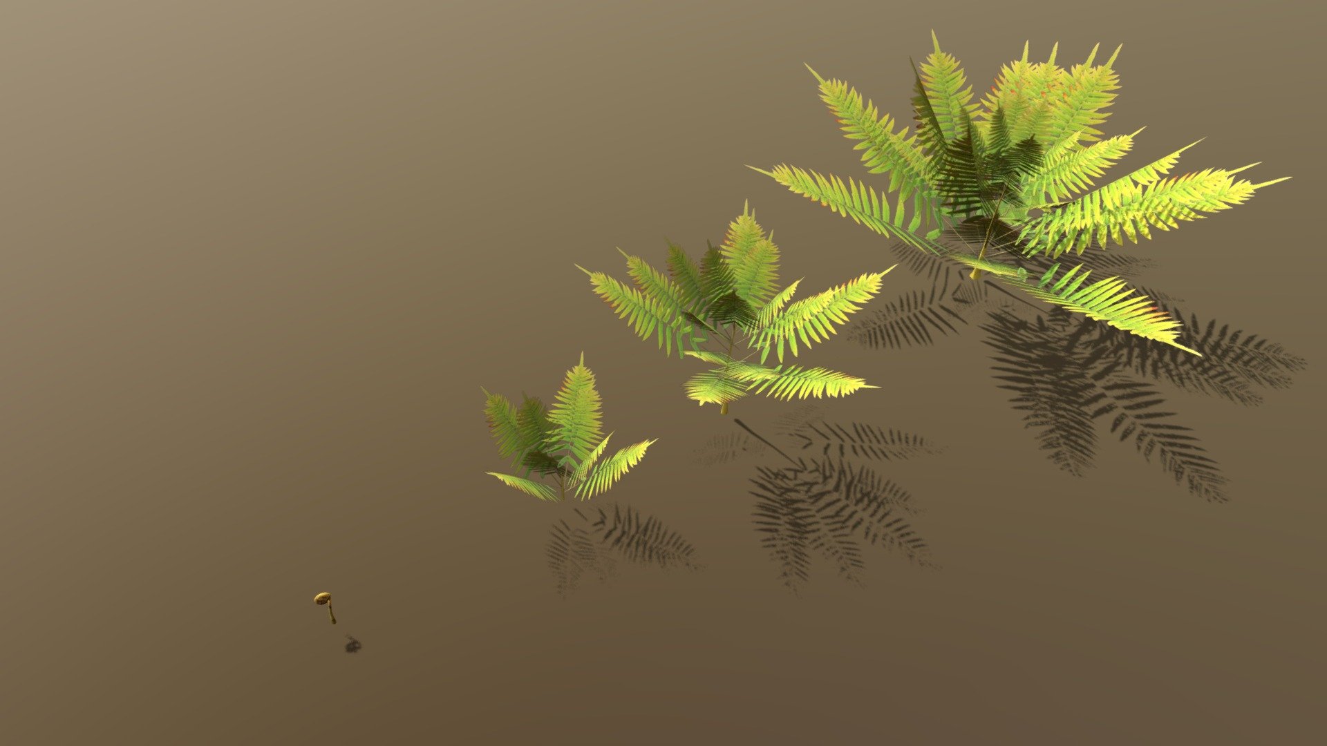Fern pack


Low poly fern bushes in different growth stages.


Ideal for various types of game environment.


I suggest for VR game… - Fern growth pack - 3D model by Albert Gregl (@AlbertGregl) 3d model