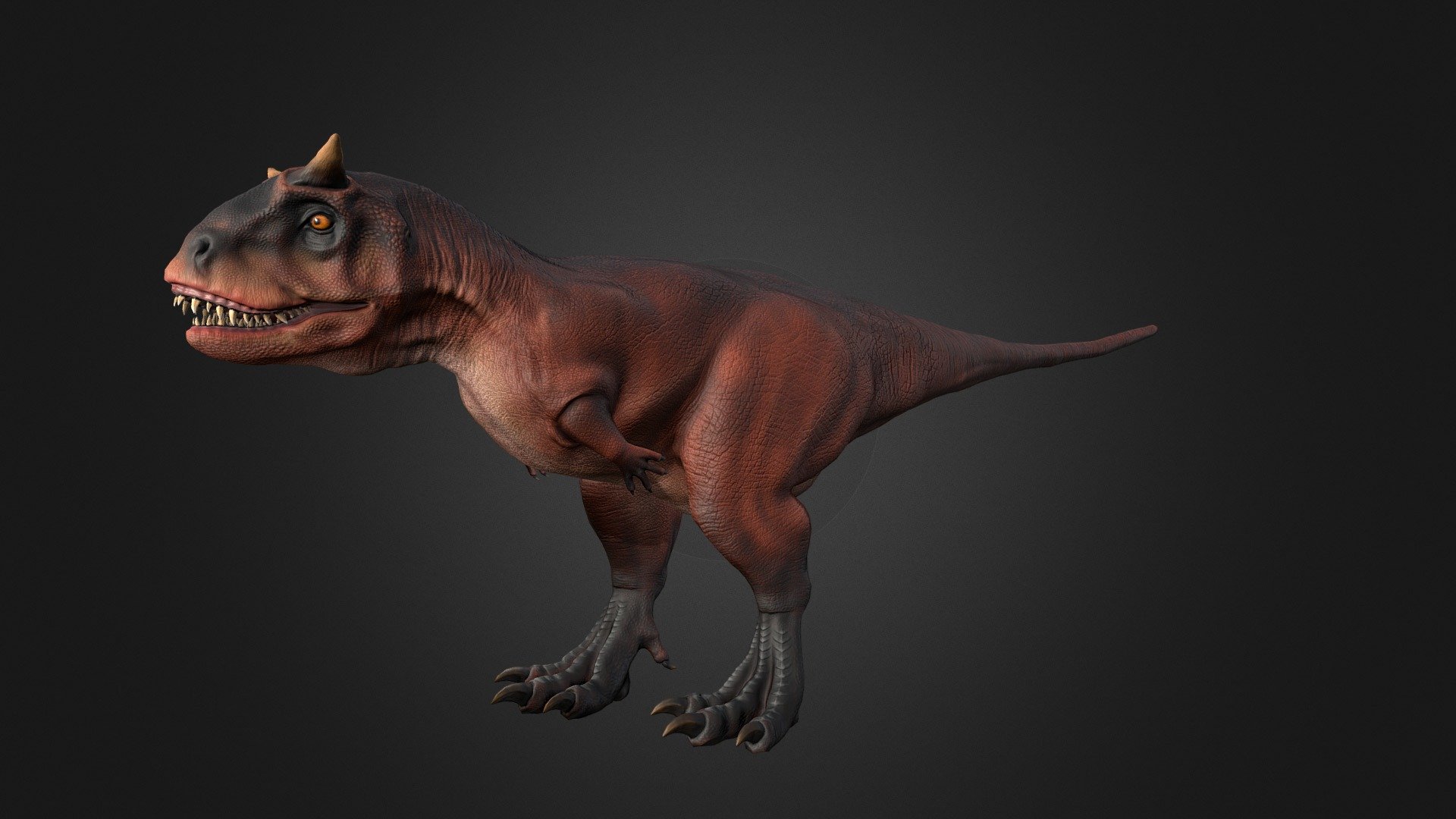 This asset has Carnotaurus model.

Model has 4 LOD.




26300 tris

16900 tris

12100 tris

6500 tris

Diffuse, normal and metallic / roughness maps (all maps 2048x2048).

105 animations (IP/RM)

Attack(1-6), Walk (F,FL,FR,B,BL,BR), Run (F,FL,FR),Run_attack(1-2), Run_Jump, Trot (F,FL,FR), Trot_Attack(1-2), Swim (F,FL,FR,), Swim_Idle, Swim_turn(Left/Right), Jump_In_Place, Jump_F, Jump (start/landing), Jump_Loop (up, horisontal, down),Hit (F,M,B)(1-2) , Lie (Start/end), Lie_Idle, Sleep (start, idle, end),Sit_Idle (1-2), Sit (start/end), Idle 1-3,Roar 1-2,Roar (run/walk/trot), death (1-3), eat (1-2), pick up food (1-2),Drink start/end, Drink_Idle(1-2) ,Turn (left/right)(45/90*) etc.

If you have any questions, please contact us by mail: Chester9292@mail.ru - Carnotaurus - Buy Royalty Free 3D model by Rifat3D 3d model