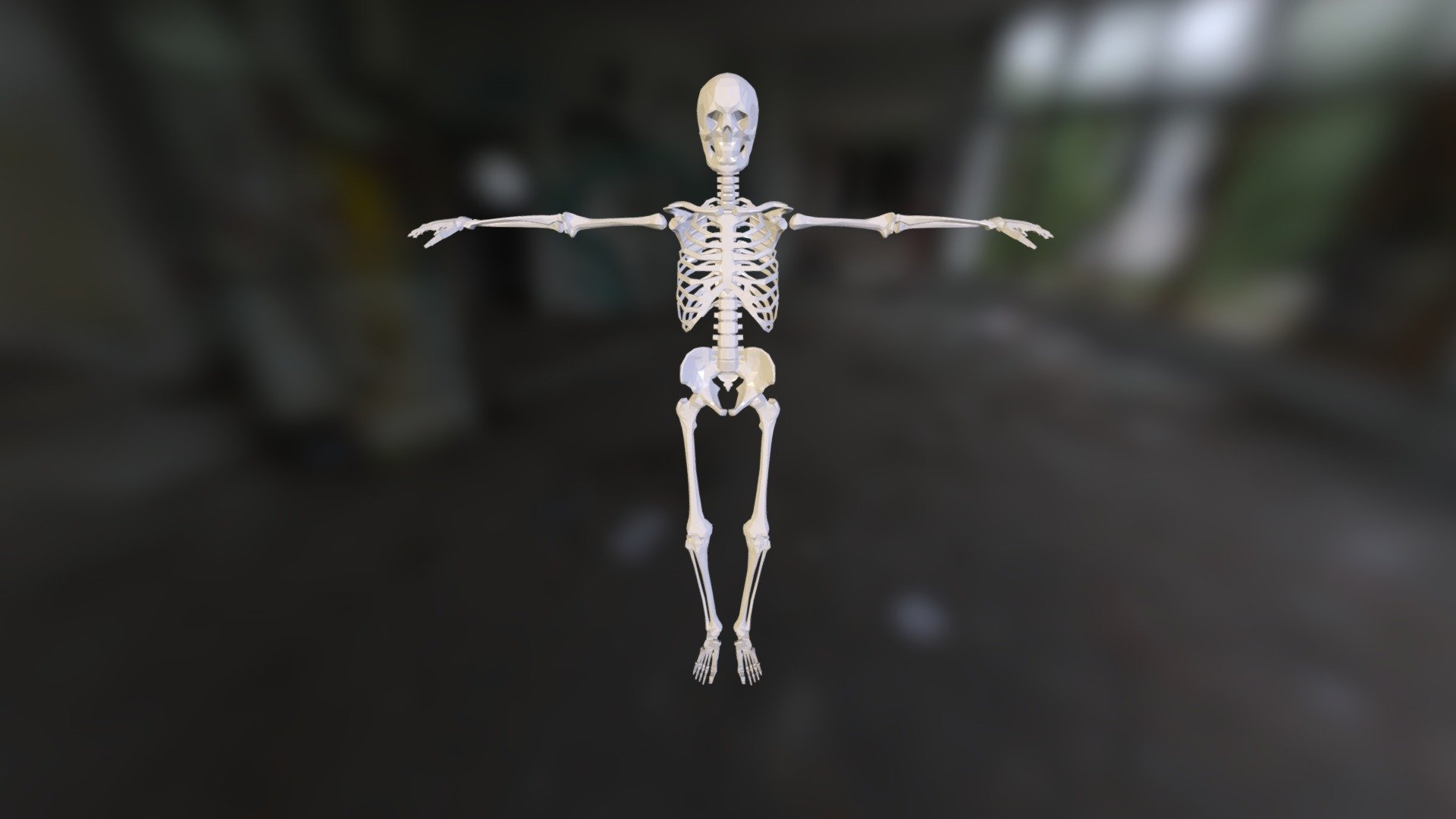 This model is featured in our Versal Courses: 
The Appendicular Skeleton - https://versal.com/c/46vno5/learn
Animal Structure and Function - https://versal.com/c/bpurlf/learn

Explore our courses to discover more about the skeletal system.  - Human Skeleton - 3D model by Versal 3d model