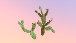 Prickly Pear Cactus (Opuntia humifusa) plants, unreal, 3dart, habitat, vr, ar, realistic, nature, biome, maya, environment