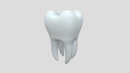 Tooth mouth, anatomy, care, teeth, tongue, dental, jaw, tooth, dentist, science, dentistry, gum, toothbrush, molar, dentition, chew, enamel, dentin, mandibular, character, skull