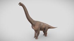 Brachiosaurus tall, neck, lizard, long, park, giant, jurassic, herbivore, brachiosaurus, longneck, prehistoric, dinosaur, dino