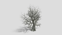 Live Oak Tree-S5 object, tree, plant, oak, live, branch, trunk, highquality, architecture, game, highpoly