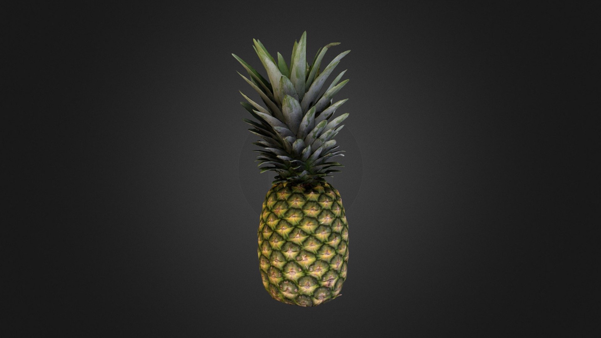 Pineapple (Ananas) - Buy Royalty Free 3D model by 3DScan4You.de (@3dscan4you) 3d model