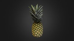 Pineapple (Ananas) fruit, pineapple, photogrametry