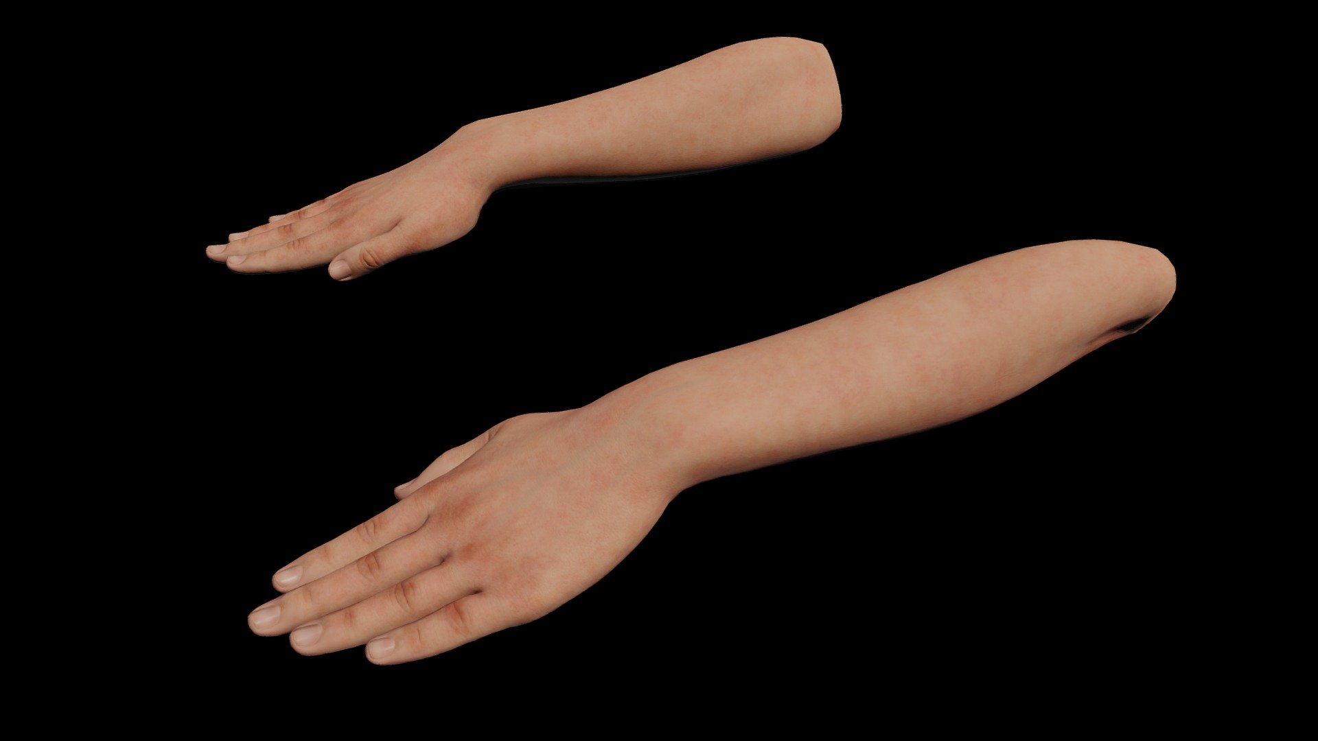 These 3D models of the left and right hands are made in Blender 3.2 3d model
