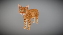 ANIMATED CAT cat, orange, kitty, pet, mamal, animatedmodel, animated-models, animal, animated, animated-cat, animated-cat-model, orange-cat