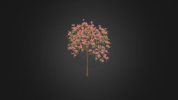 Plum Tree with Flowers 3D Model 2m tree, plant, fruit, flower, orchard, vegetation, foliage, farm, nature, agriculture, flowering, plum, leaves