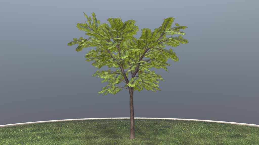 Kastanie 8 Meter im Sommer.



Ein 3d-Objekt aus dem VIS-All Baum Module 4 

Modelliert und texturiert von 3DHaupt mit Blender-3D - Kastanie 8 Meter - Sommer - 3D model by VIS-All-3D (@VIS-All) 3d model
