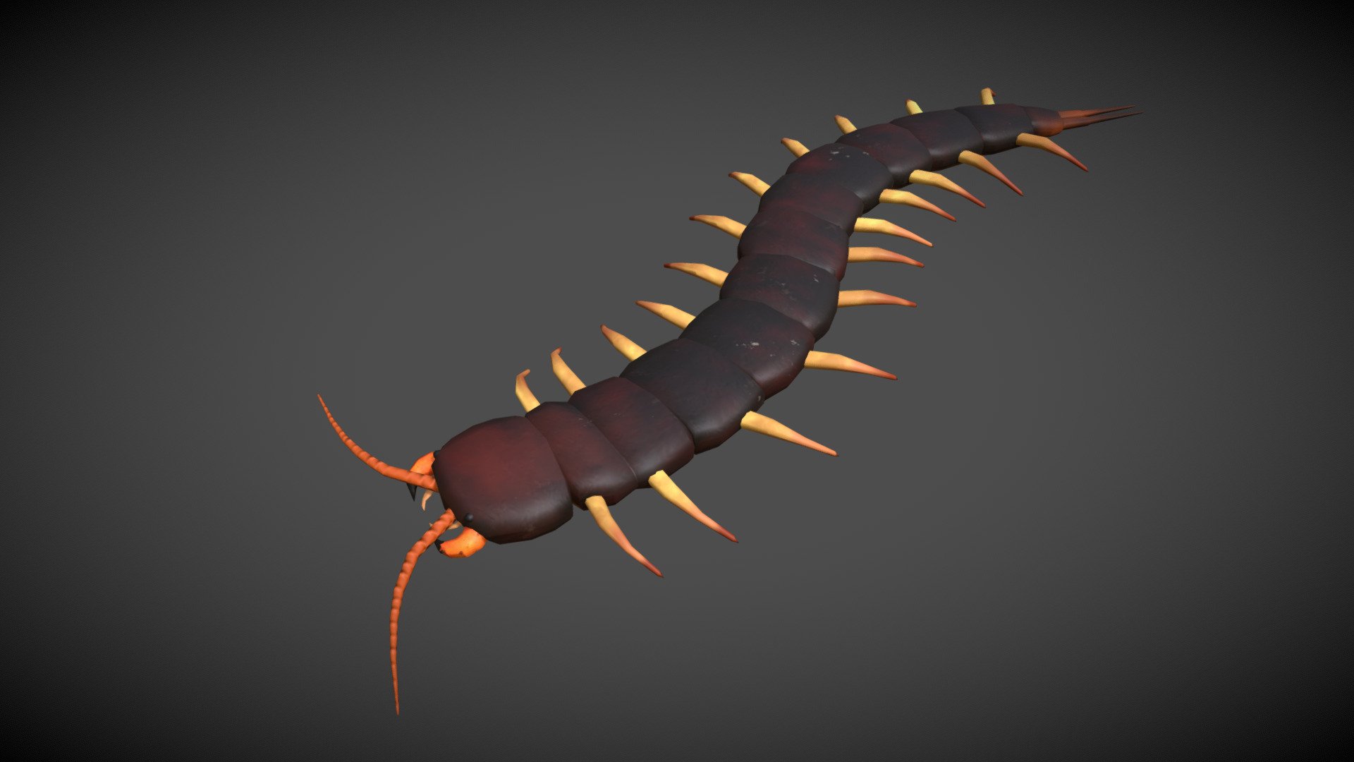 Realistic PBR Centipede worm with 10 Animations.

Details:-

-Poly count (1902 vertex, 3396 Tris)
-Low poly game ready model

Animations:-

-Idle(4 types)
-Walk
-Run
-Attack(2 types)
-Action(2 types) - Centipede Worm Animations - Buy Royalty Free 3D model by Arjun S R (@SRstudiosKerala) 3d model