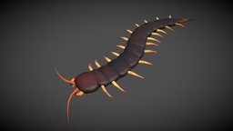 Centipede Worm Animations worm, nature, worms, insects, centipede, wormhole, low-poly-game-assets, worms-game, worms-character, worm-shell, low-poly, gameasset, creature, animation, wormhead, centipedeinsect, centipade