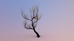 Fantasy tree 01 tree, plant, branches, ready, background, twigs, anturage, 3d, lowpoly, model, decoration, fantasy, sketchfab, download, simple, light, curv