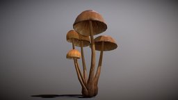 Realistic Mushroom mushroom, realistic, nature, 8k, 3d, lowpoly