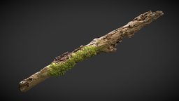 Rotting branch 01 tree, forest, grass, leaf, nature, moss, marmoset, plante, octane, realitycapture, wood