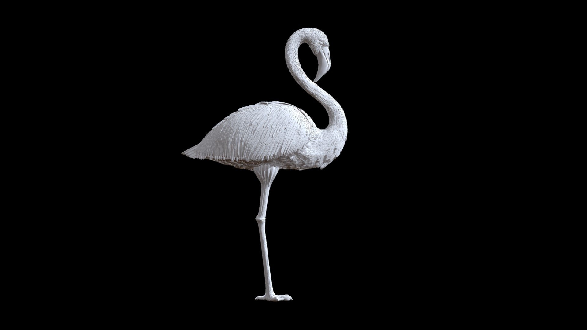 The format is OBJ, STL, Zbrush.

model for printing on a 3d printer - flamingo - Buy Royalty Free 3D model by explorertit36@gmail.com (@paydi) 3d model