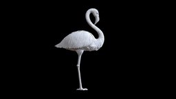 flamingo bird, flamingo, print, statue, the, heron, crane, stork, flamingos, animal, sculpture