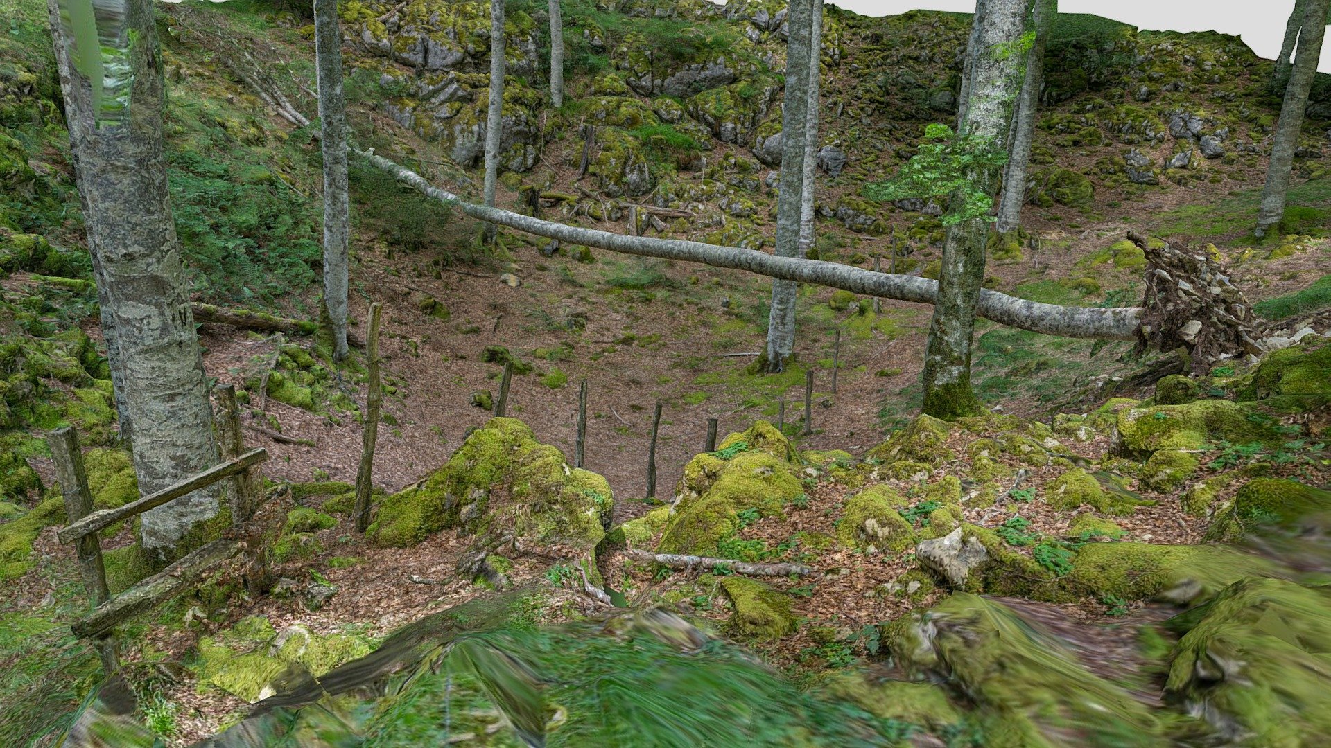 Fallen tree over a fence makes a bridge - Buy Royalty Free 3D model by yelizegi 3d model
