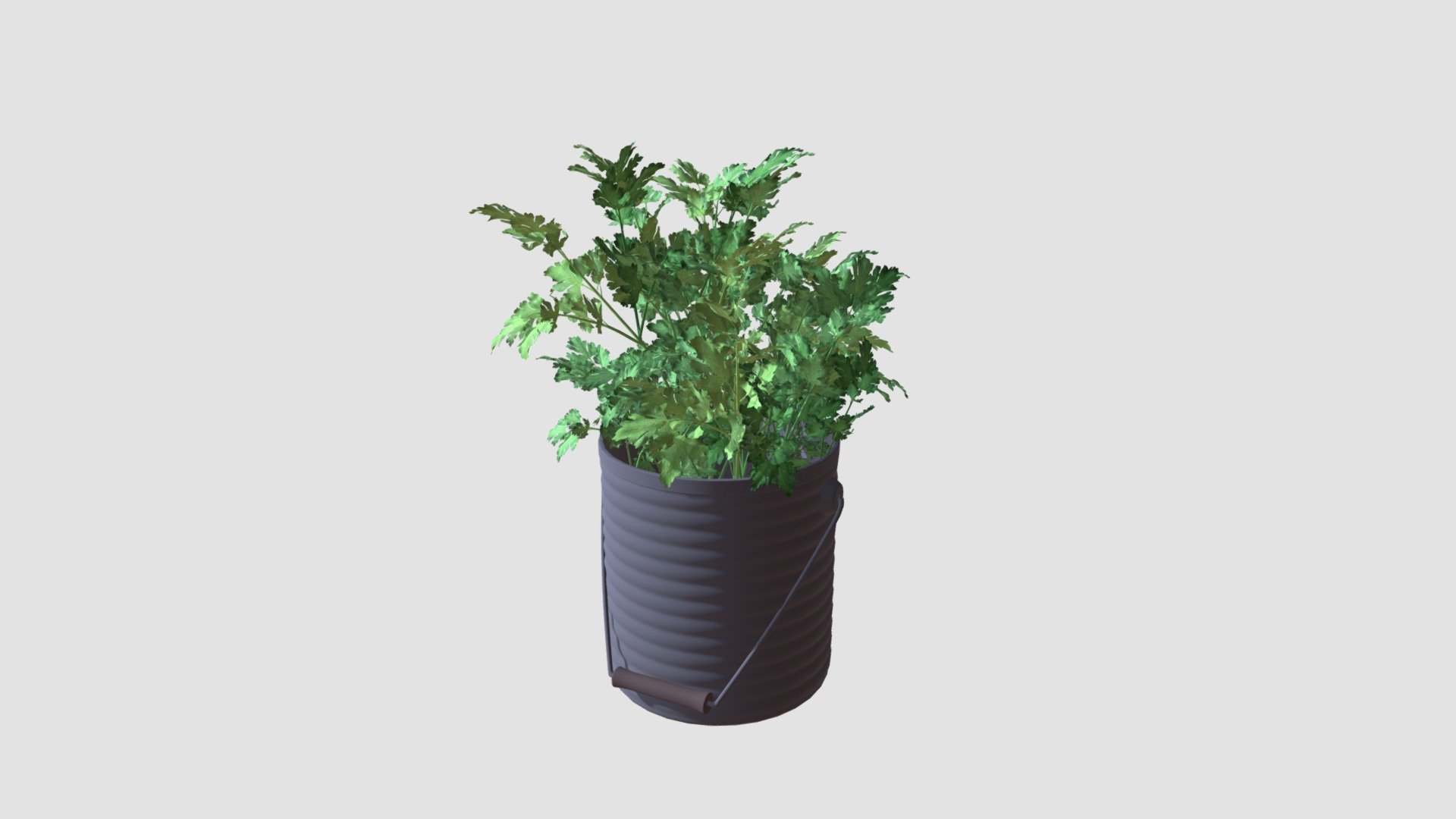 Highly detailed 3d model of green parsley with all textures, shaders and materials. It is ready to use, just put it into your scene 3d model