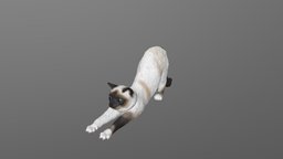 반려동물 샘플: 스트레칭하는 고양이 Pet sample: Stretching Cat figure, 3dscanning, 3dprinting, southkorea, 3dprint, 3d, 3dmodel, ulsan