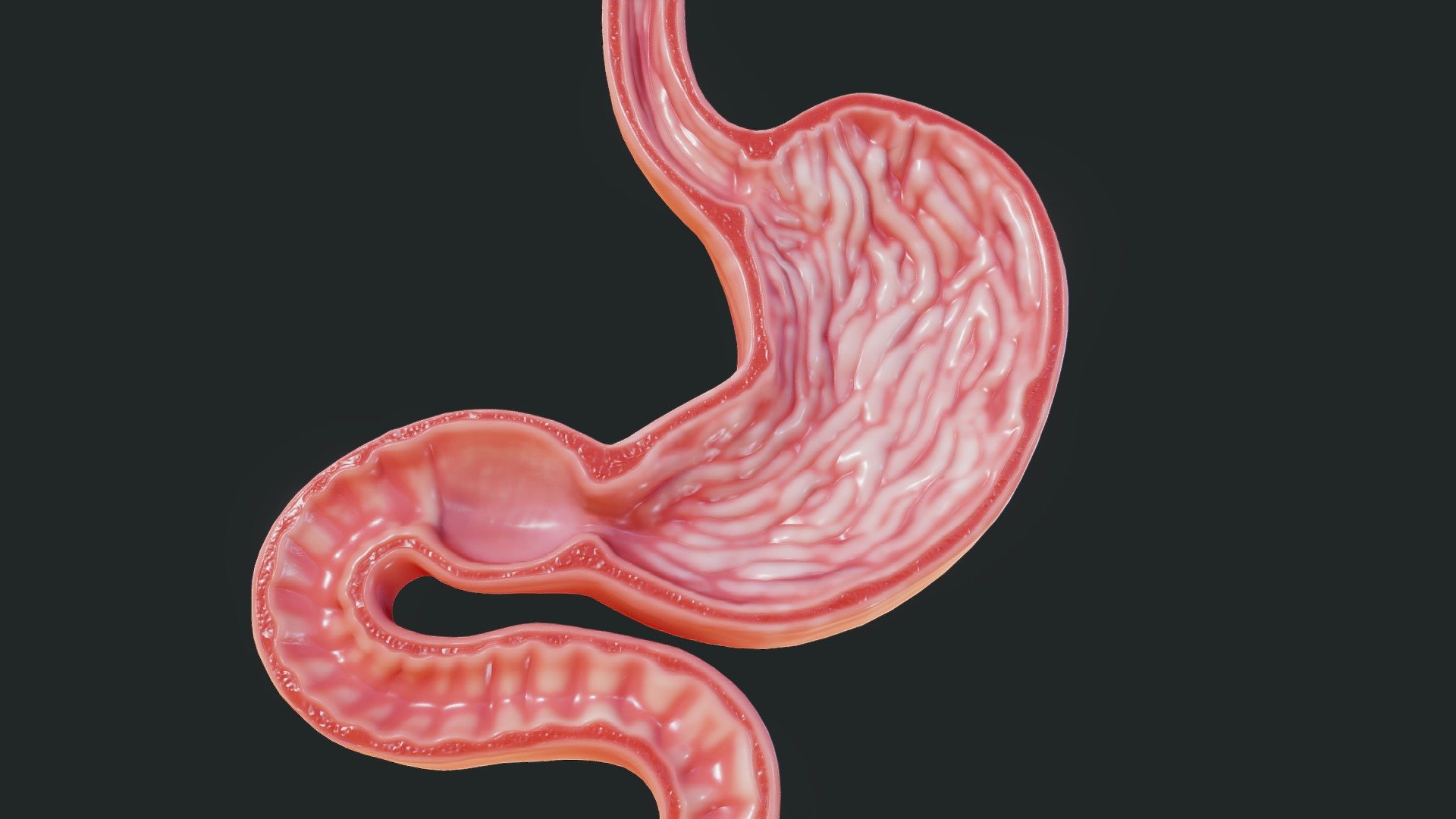Maps for Human Stomach


BaseColor
Metallic
Roughness
Normal
Ambient Occlusion

SCALE:
- Model at world center and real scale:
       Metric in centimeter
       1 unit = 1 centimeter

Texture resolution:2048x2048

Texture format PNG

Poly Count :
Polygon Count - 7612
Vertex Count - 3808
No N-Gons - Human Stomach - 3D model by zames1992 3d model