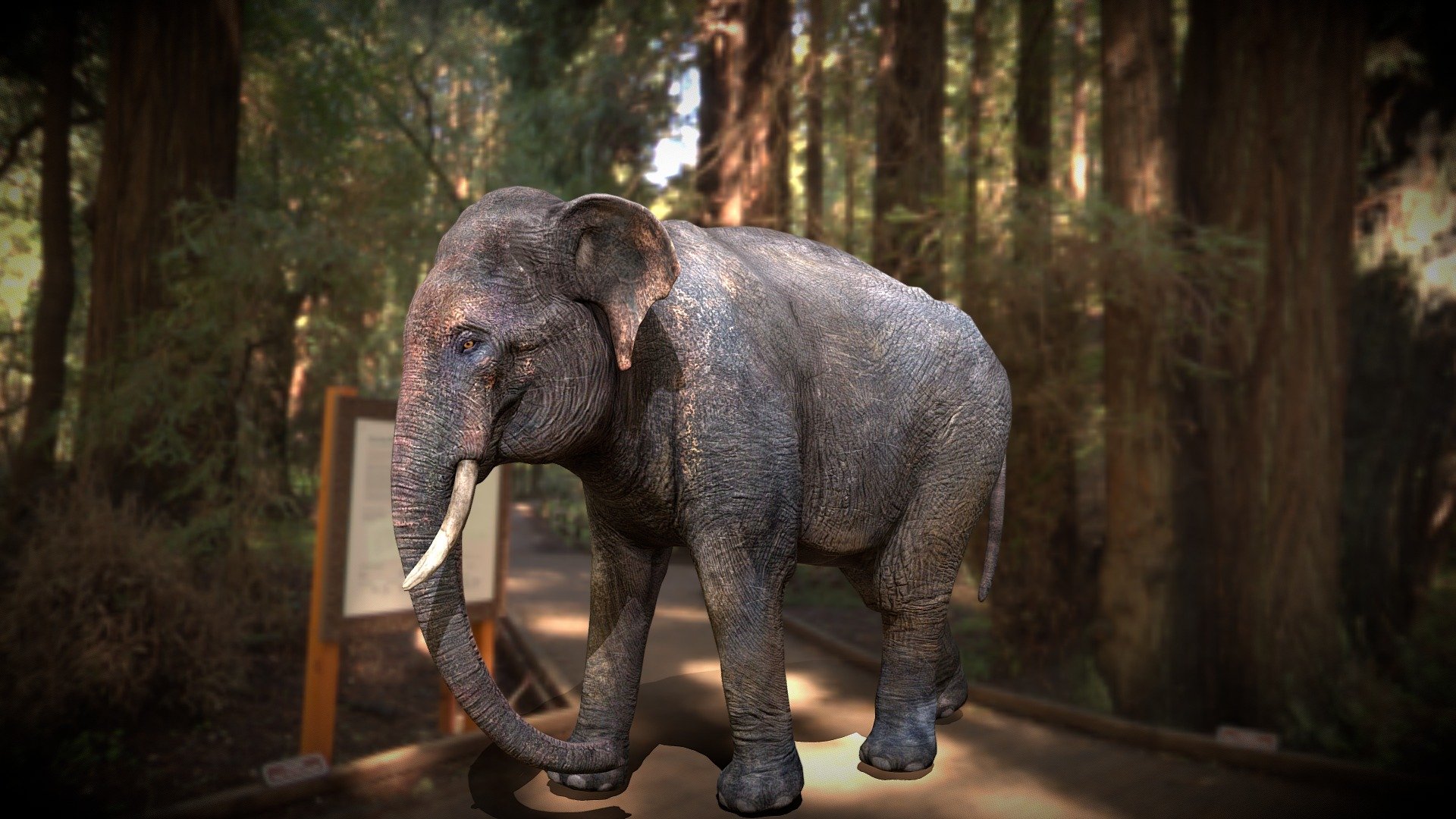 Elephant - 3D model by Abhishek walia (@abhisheekwalia) 3d model