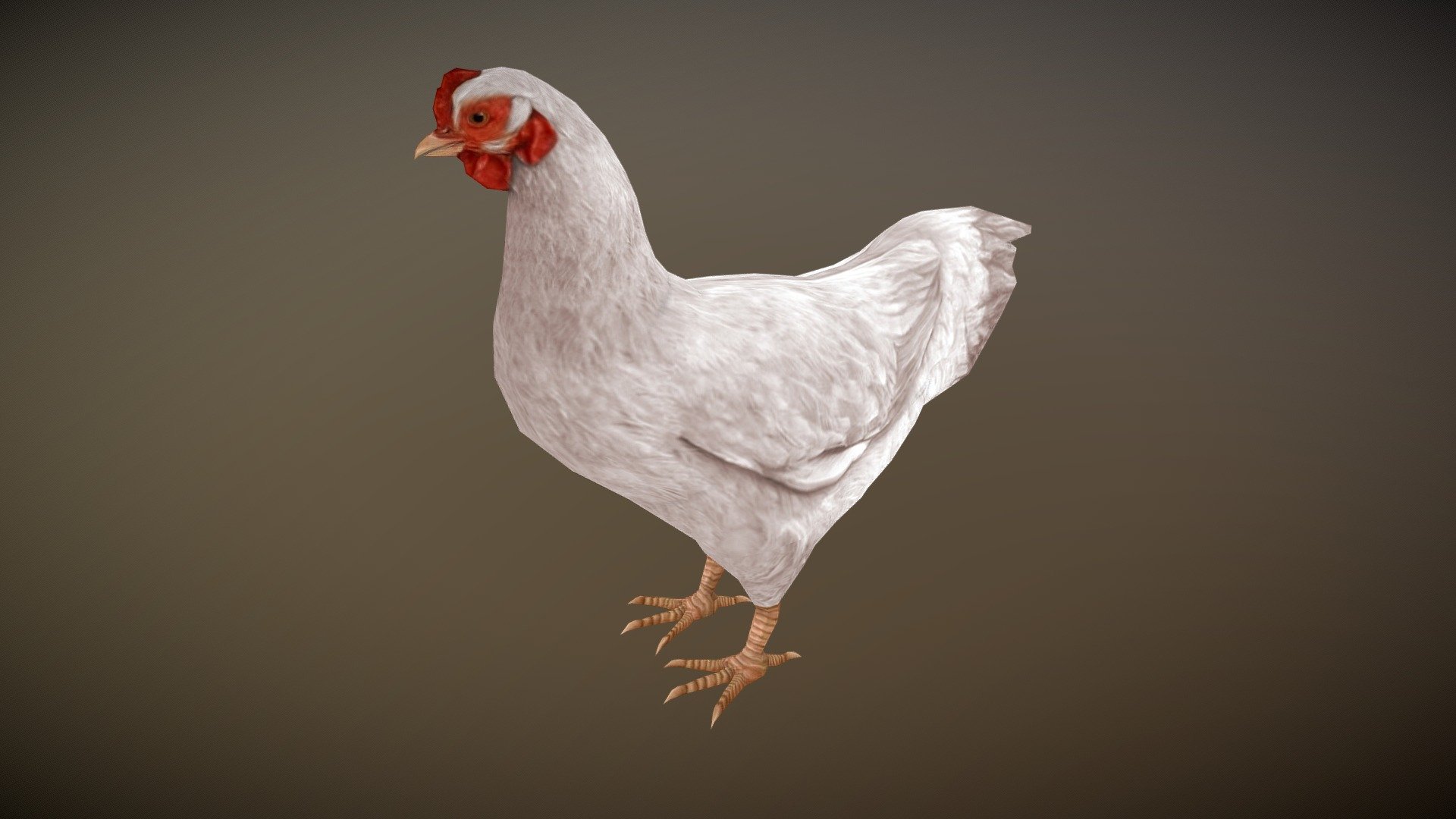WATCH = https://youtu.be/is8r7kIoQT4

3D Realistic White Hen Chicken with Animations

PACKAGE INCLUDE


High quality polygonal model, correctly scaled for an accurate representation of the original object.
Model is built to real-world scale.
Many different format like blender, fbx, obj, iclone, dae
No additional plugin is needed to open the model.
3d print ready in different poses
Separate Loopable Animations
Ready for animation
High Quality materials and textures
Triangles = 1561
Vertices = 784
Edges = 2343
Faces = 1561

ANIMATIONS


Idle
Walk
Eat

3D PRINT POSES ( STL  OBJ )


Stand
Side look
Look Down
Leg up 1
Leg up 2
Eat
Walk
 - White Hen chicken Animated - Buy Royalty Free 3D model by Bilal Creation Production (@bilalcreation) 3d model