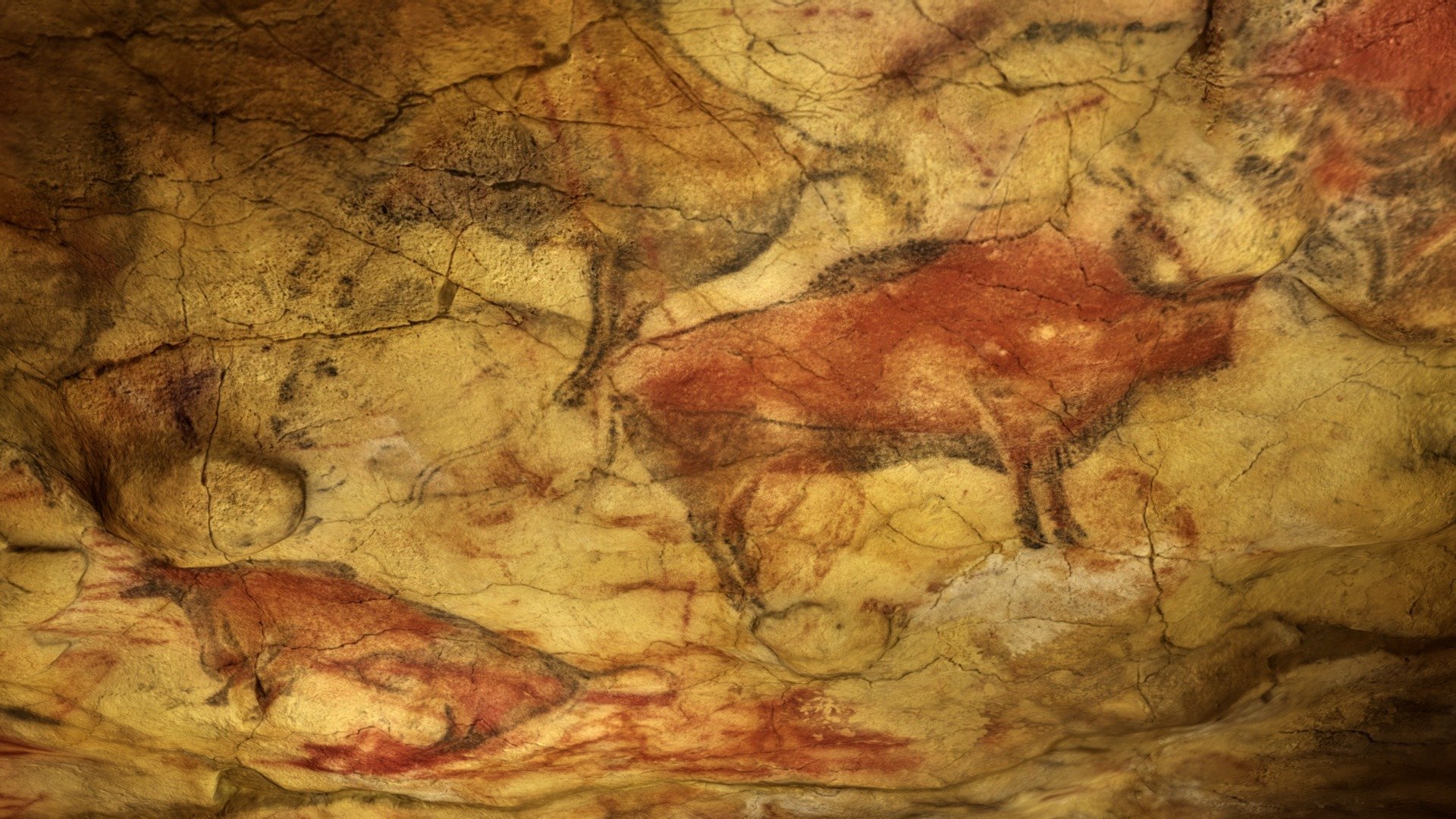 Spain’s Altamira Cave is known for some of the most pristine examples of Paleolithic cave paintings, pictographs and petroglyphs. The bulls painted on the ceiling are at least 14,000 years old, and with new dating techniques, archaeologists have determined that painting first started in this chamber more than 34,000 years ago.
More on the dating and discovery of Altamira here: https://www.ancientartarchive.org/altamira-cave-spain/ - Altamira Cave Ceiling, Spain - 3D model by Ancient Art Archive (@ancientartarchive) 3d model