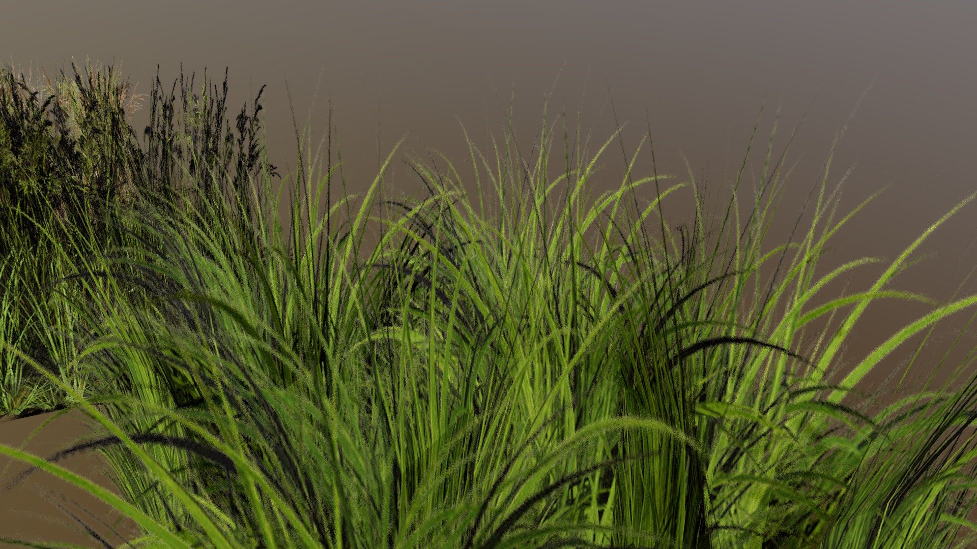 My Grass is the fourth series, in ultra HD quality. Please do not forget to rate the work and you will make one person on earth happier (thank you in advance and have a happy day)!!! - Grass v4 - 3D model by sam (@serpent) 3d model