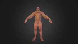 muscle man body, from, taken, builder, tf3dmcom, website, model