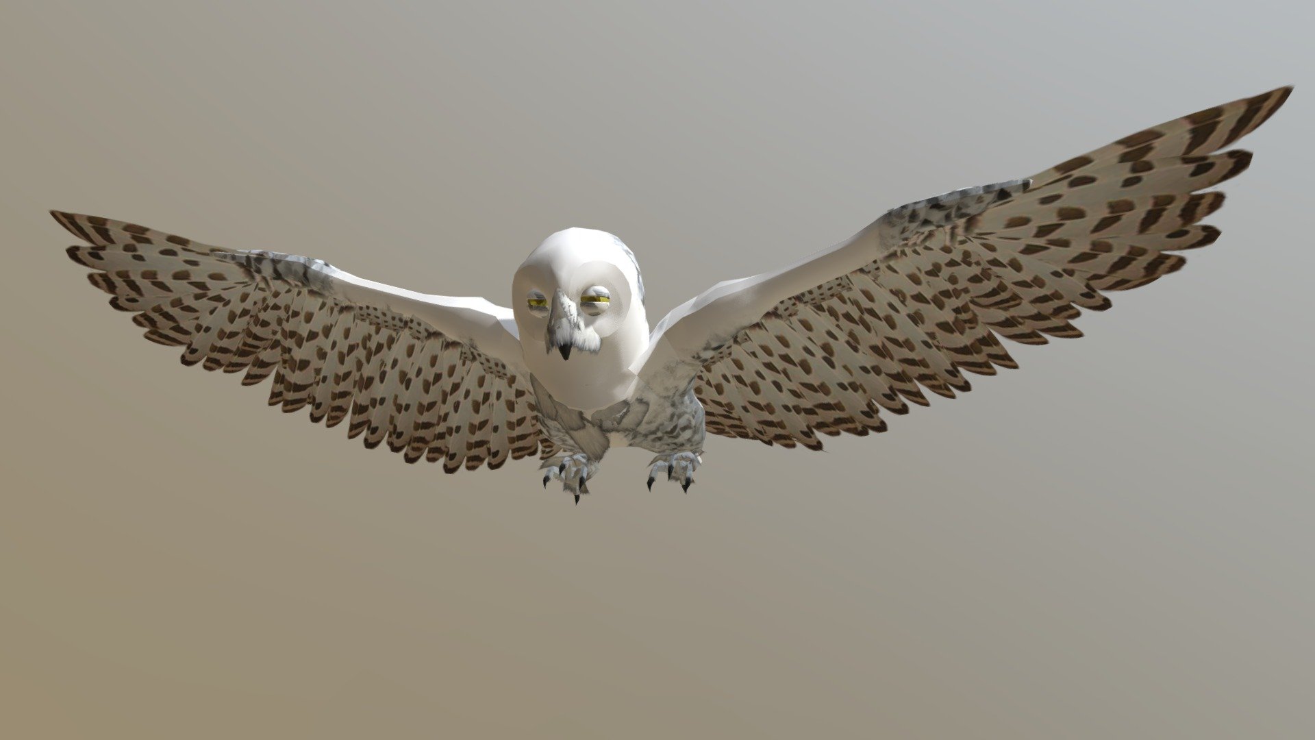 Owl To Sketchfab - 3D model by michael_grodkowski 3d model