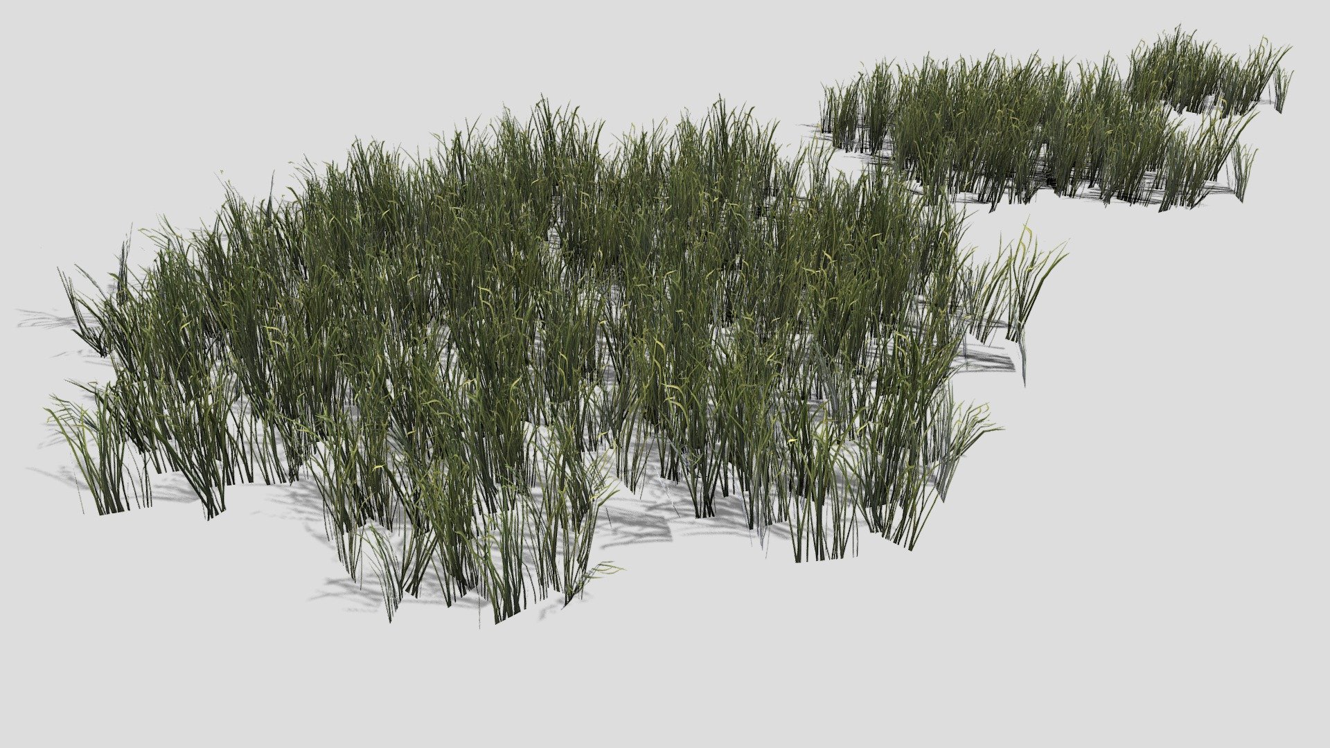 Low poly model of 3 variations of swamp grass.  Good for covering large areas of terrain

More examples of rendered foliage can be seen here:  https://www.artstation.com/leonlabyk - S Swamp Grass Patch - Buy Royalty Free 3D model by studio lab (@leonlabyk) 3d model
