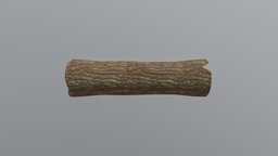 Fallen log tree, log, wood