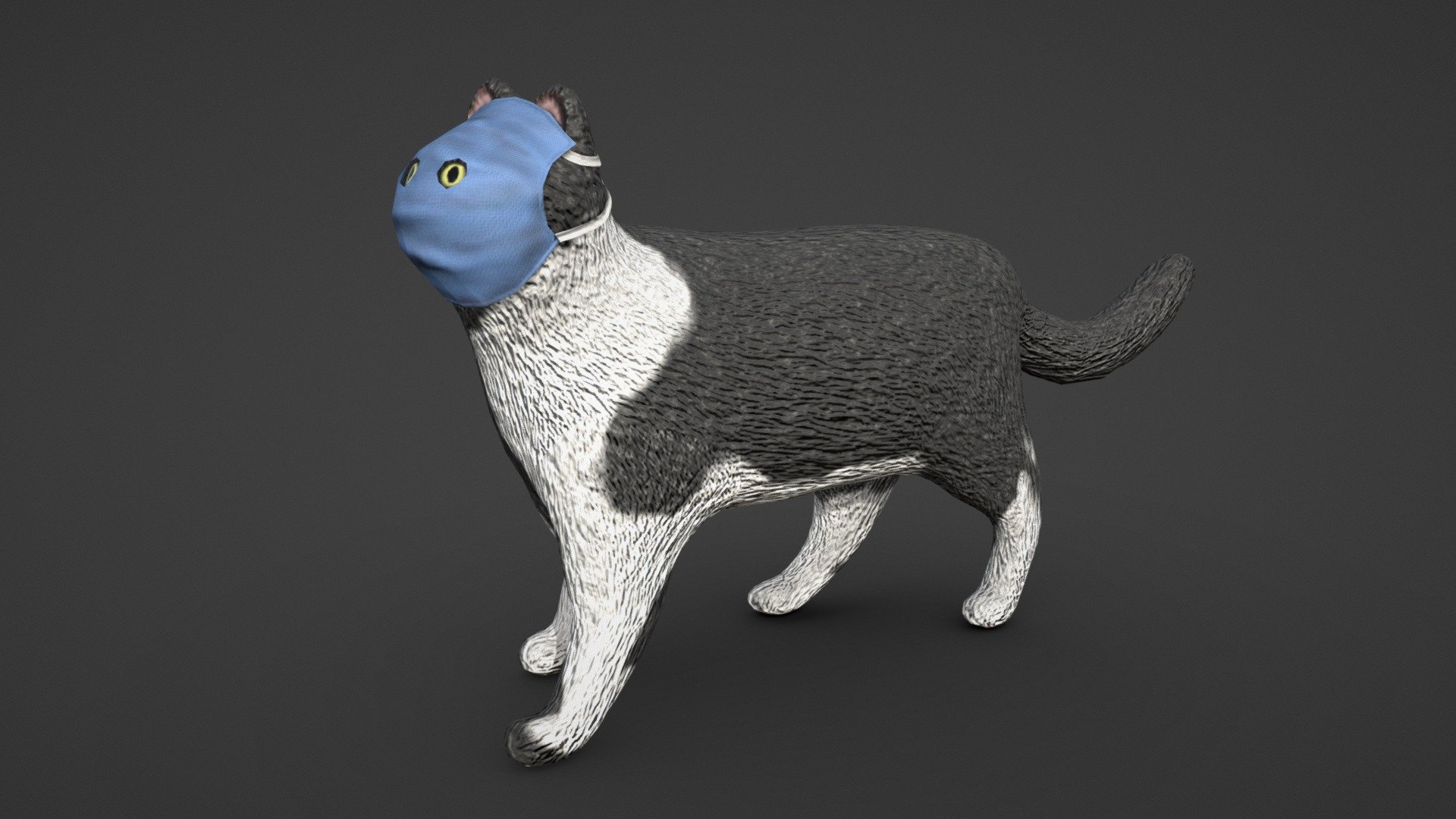Cat wearing a corona virus mask during the pandemic.

Inspired by this cute miniature: https://twitter.com/meetissai/status/1227044107651936256?s=20

Blender and substance painter, 1K texture set 3d model