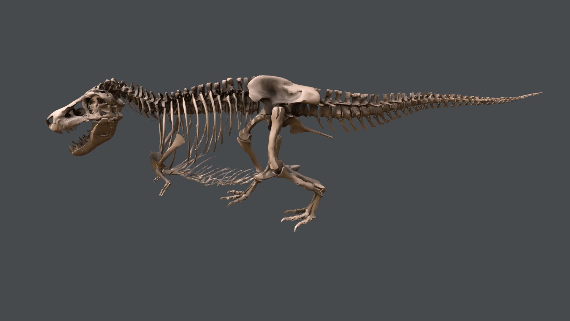 SUE es el esqueleto de rex Tyrannasaurus más grande y completo jamás encontrado. Obtenga más información sobre lo que podemos aprender de la vida de un animal al observar sus fósiles interactuando con el modelo anterior. Las respuestas a las preguntas están en el sitio web del Field Museum.

https://db.fieldmuseum.org/df4e79be-0726-4196-b745-d0717df2bd1c
PR2081 Field Museum of Natural History - SUE el T. rex - 3D model by fieldmuseumeducation 3d model