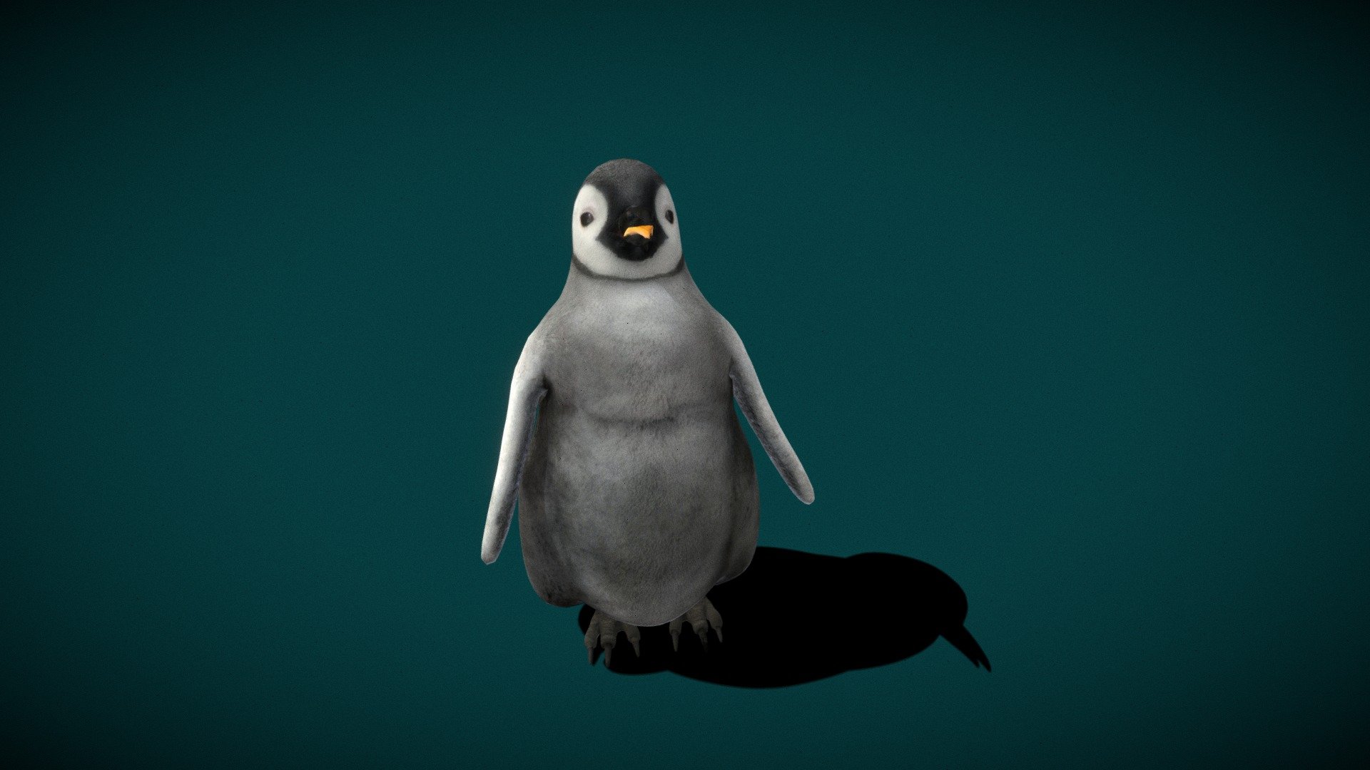 Baby Emperor Penguin




4K PBR Textures 

Idle Loops Animations

The emperor penguin is the tallest and heaviest of all living penguin species and is endemic to Antarctica. The male and female are similar in plumage and size, reaching 100 cm in length and weighing from 22 to 45 kg. Wikipedia
Height: 1.1 – 1.3 m (Adult)
Mass: 23 kg (Male, Adult, After the breeding season), 23 kg (Female, Adult, After the breeding season)
Scientific name: Aptenodytes forsteri
Conservation status: Near Threatened (Population stable) Encyclopedia of Life
Domain: Eukaryota
Family: Spheniscidae
Kingdom: Animalia - Emperor Penguin Baby - 3D model by Nyilonelycompany 3d model