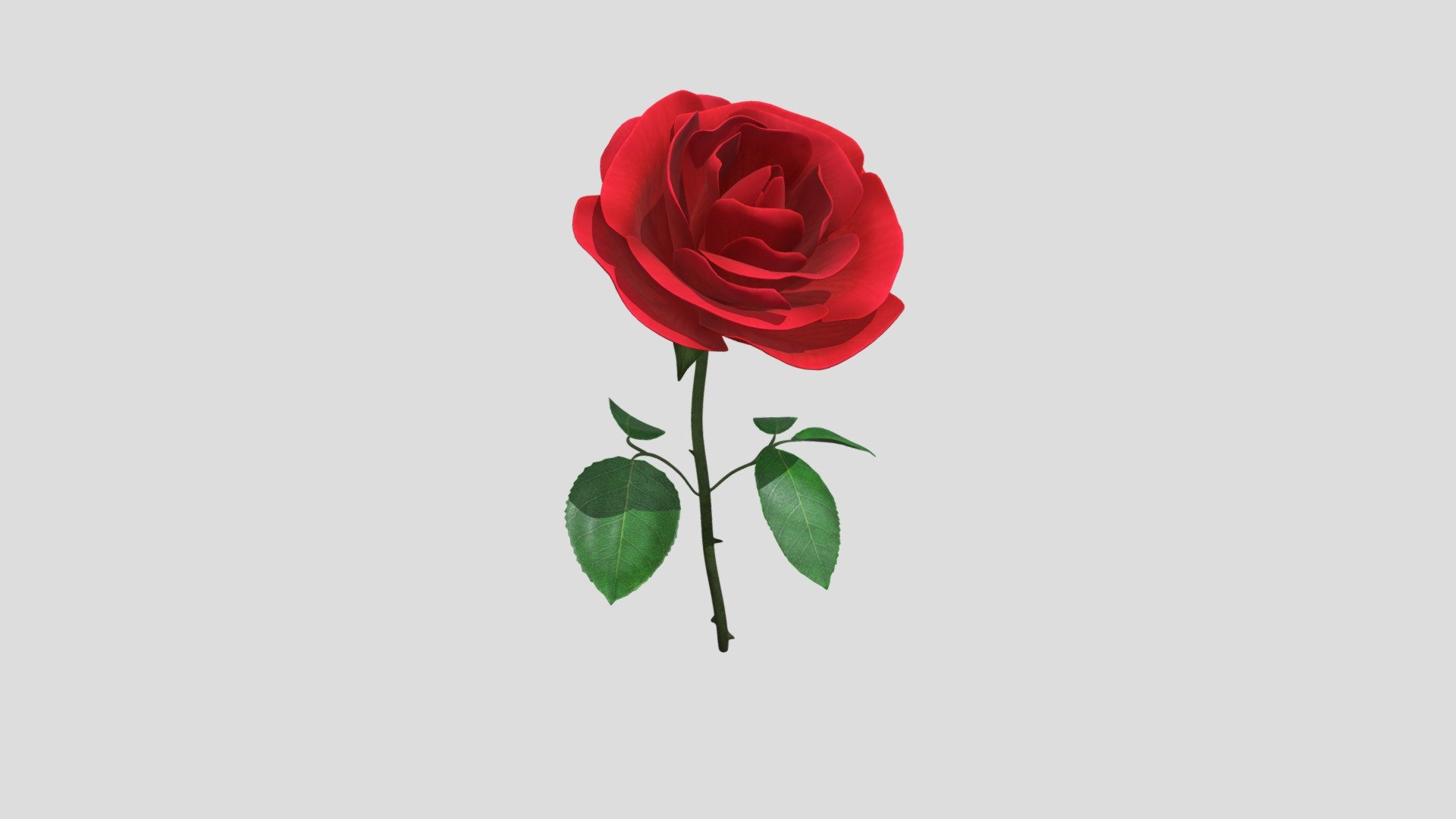 Rose 3D - Rose 3D - Download Free 3D model by soufiane oujihi (@sararoujihi) 3d model