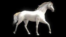Horse — Spanish Mustang ( White ) mustang, snow, cowboy, america, american, spanish, wide, horse, usa
