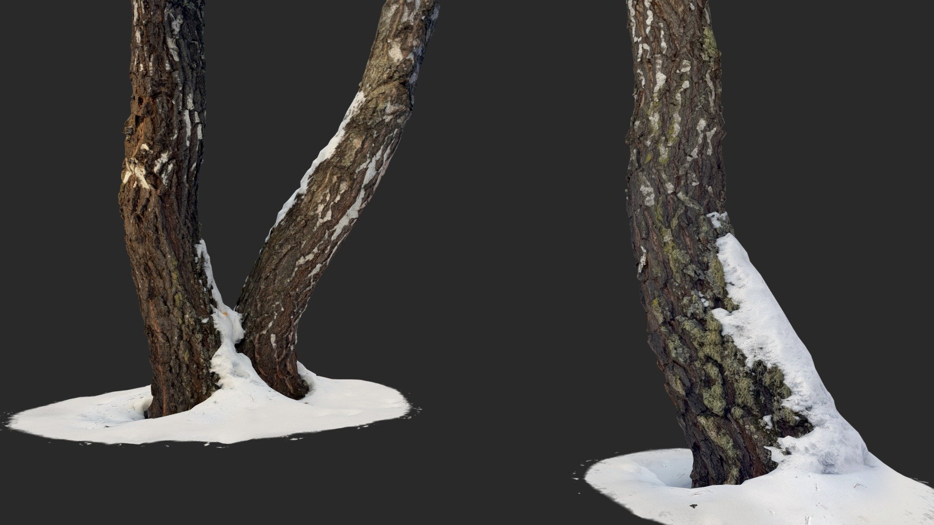 Just some photogrammetry assets for sale -link removed- - Birch Trunks - Buy Royalty Free 3D model by gamewarming 3d model