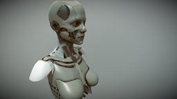 Maschinenfrau5000 cyberpunk, cyborg, android, machine, girl, skull, robot, cyborg-girl