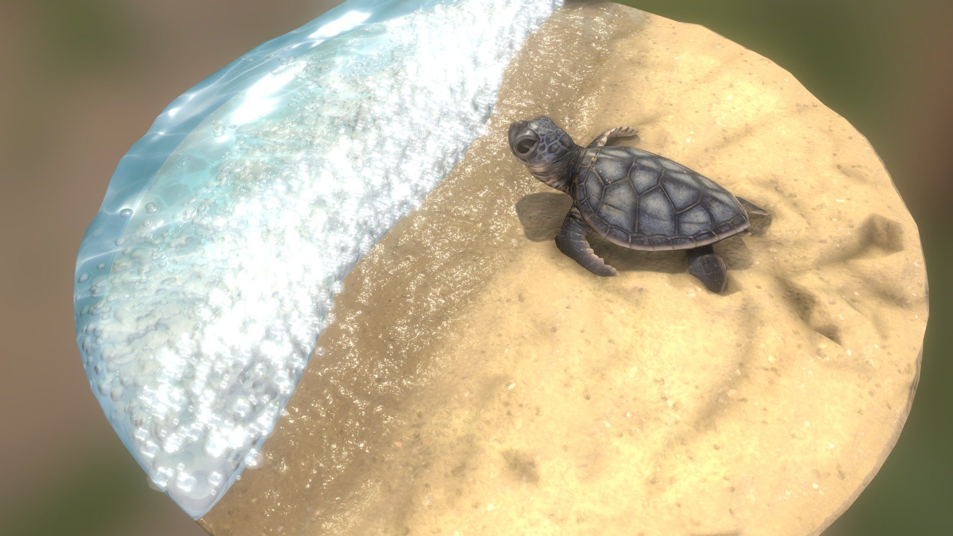 A diorama of a baby sea turtle almost hitting the surf on his way to the open sea.

Made in zbrush, 3ds max, substance painter - Baby sea turtle - Buy Royalty Free 3D model by hymer 3d model