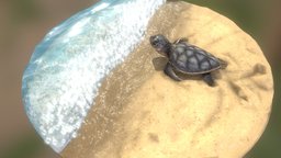 Baby sea turtle turtle, baby, ocean, sand, diorama, water, beach, surf, animal, sea