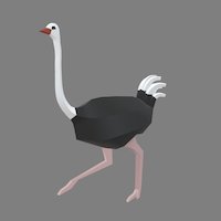Ostrich Jog Cycle ostrich, low-poly