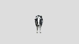 Cow cow, farm, realistic, animal, animated, rigged