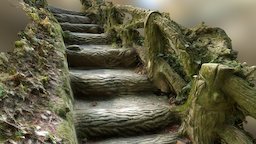 hidden Steps stairs, escalier, leaf, vegetation, nature, steps, agisoft, photoscan, stone