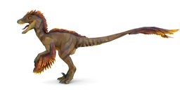 Dinosaur Raptor Feathered Lowpoly Art Animal
