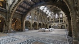 Hintze Hall, NHM London [surface model] london, hall, whale, museum, meta_geo, nhm, interiorscanchallenge, hintze, geo_gcpugyxe3guv