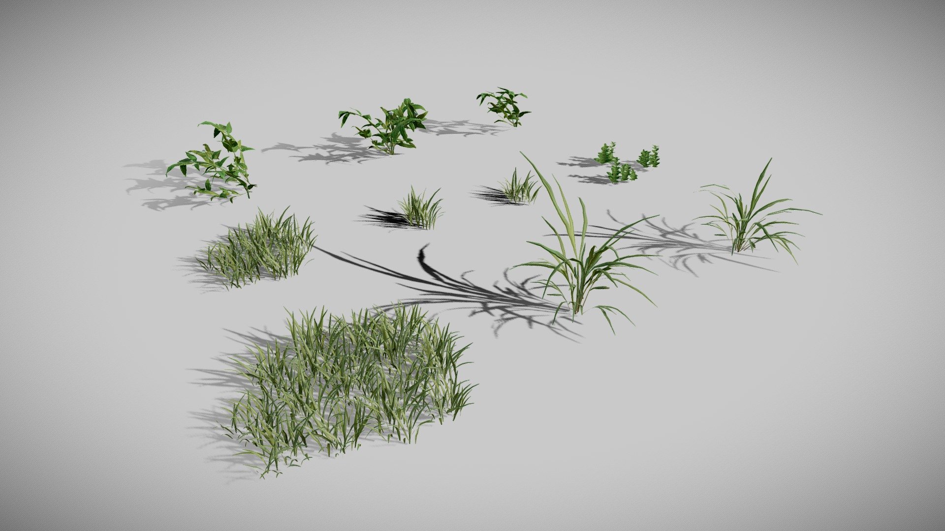 Details:

3D Formats:  You will get an obj, fbx and dae scene with all LOD0s and separate objects with LODs + Billboards (fbx and obj)

12 plants variations

2 Materials: Ground foliage and Billboard Foliage

4K textures: Base color ( .tif RGBA ), Normal, Roughness, Translucency, Opacity and Unity Thickness.

LODs + Billboards

Contact me for any issue or questions https://www.artstation.com/bpaul/profile - High Poly Ground Foliage - Buy Royalty Free 3D model by Paul (@nathan.d1563) 3d model