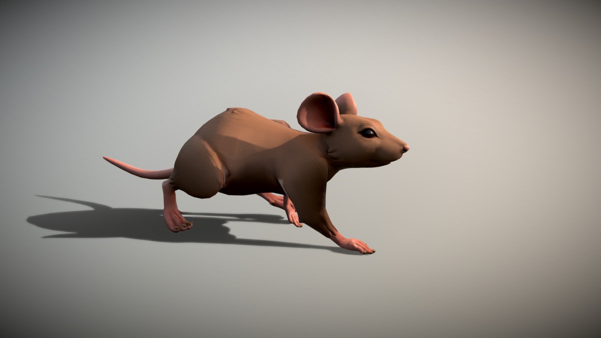 Mouse game-ready model - Mouse - 3D model by Ilkes 3d model